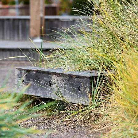 1065-n-liseleje-lisevaenget-13 *